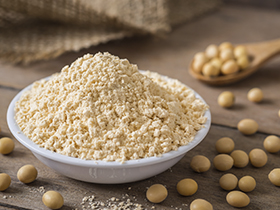 brazilian soybean meal